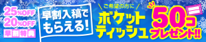 C97ポケットティッシュ